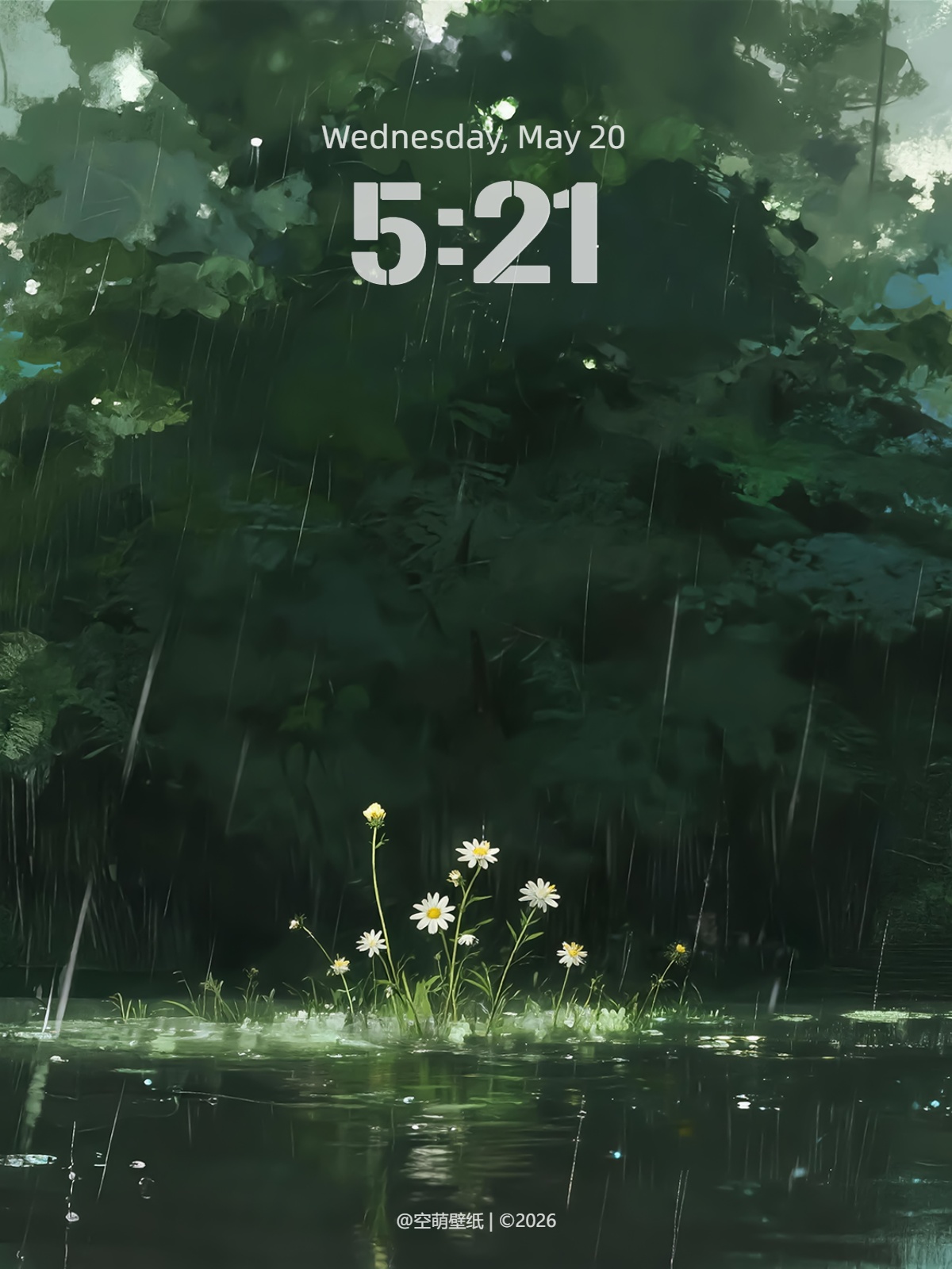 wallpaper-20260126180452_compressed.jpg