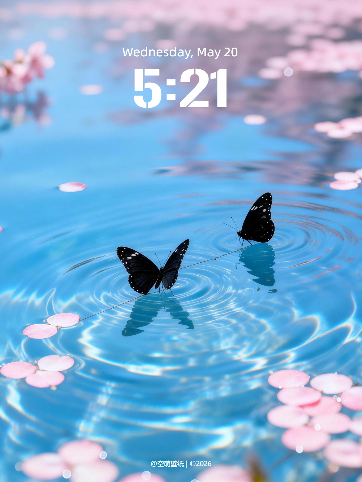 wallpaper-20260117180819_compressed.jpg