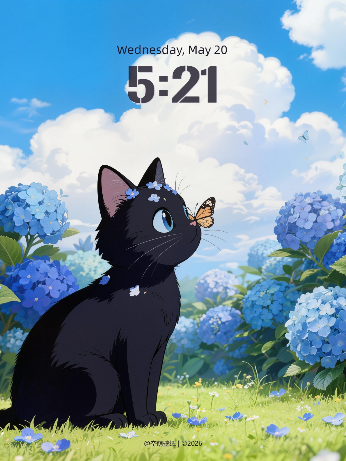 wallpaper-20260117185524_compressed.jpg