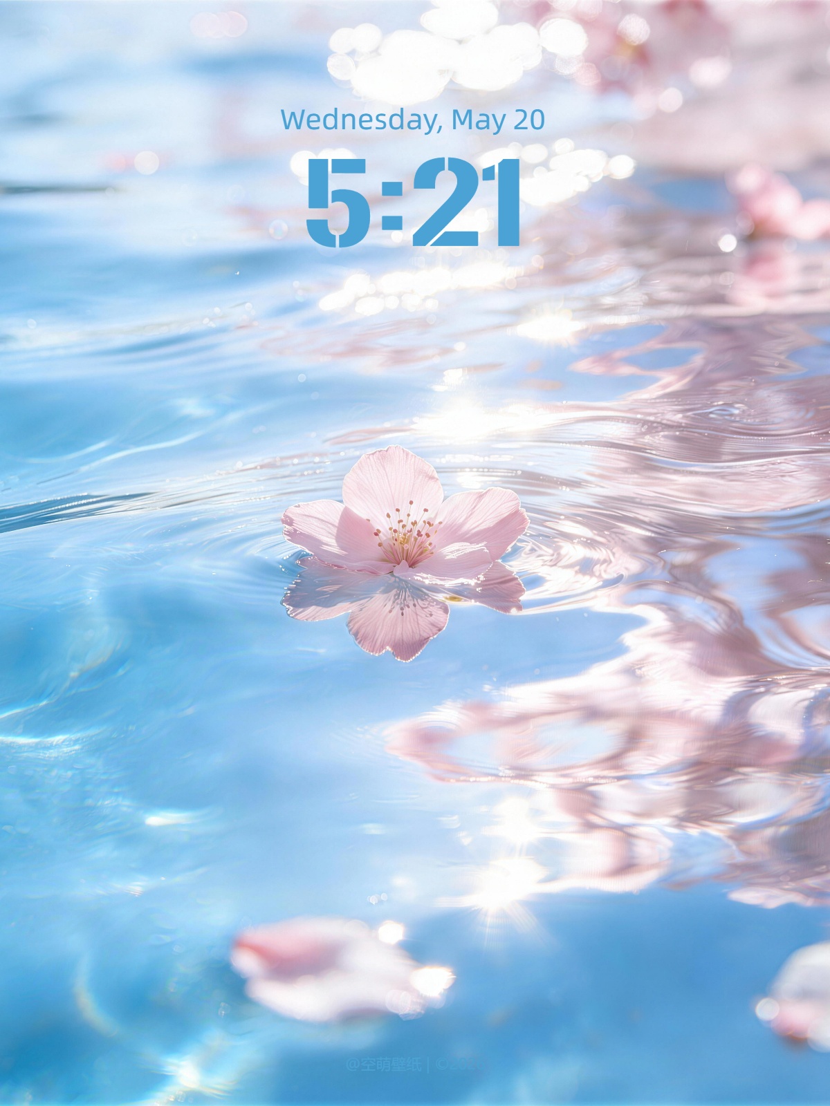 wallpaper-20260117183742_compressed.jpg