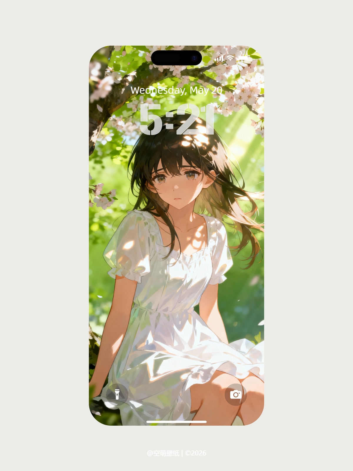 wallpaper-20260122173626_compressed.jpg