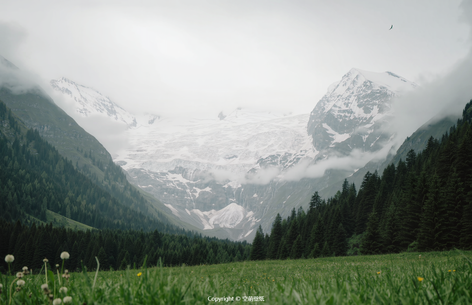 mac16_10桌面-20260819213152_compressed.png