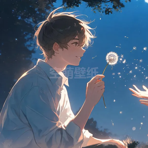 Q13-蒲公英的浪漫