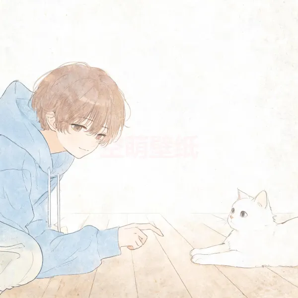 Q4-我的猫咪