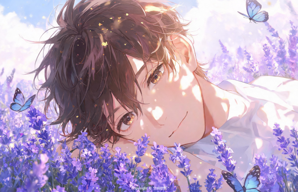 260薰衣草少年