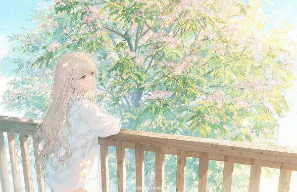 87合欢花的初夏